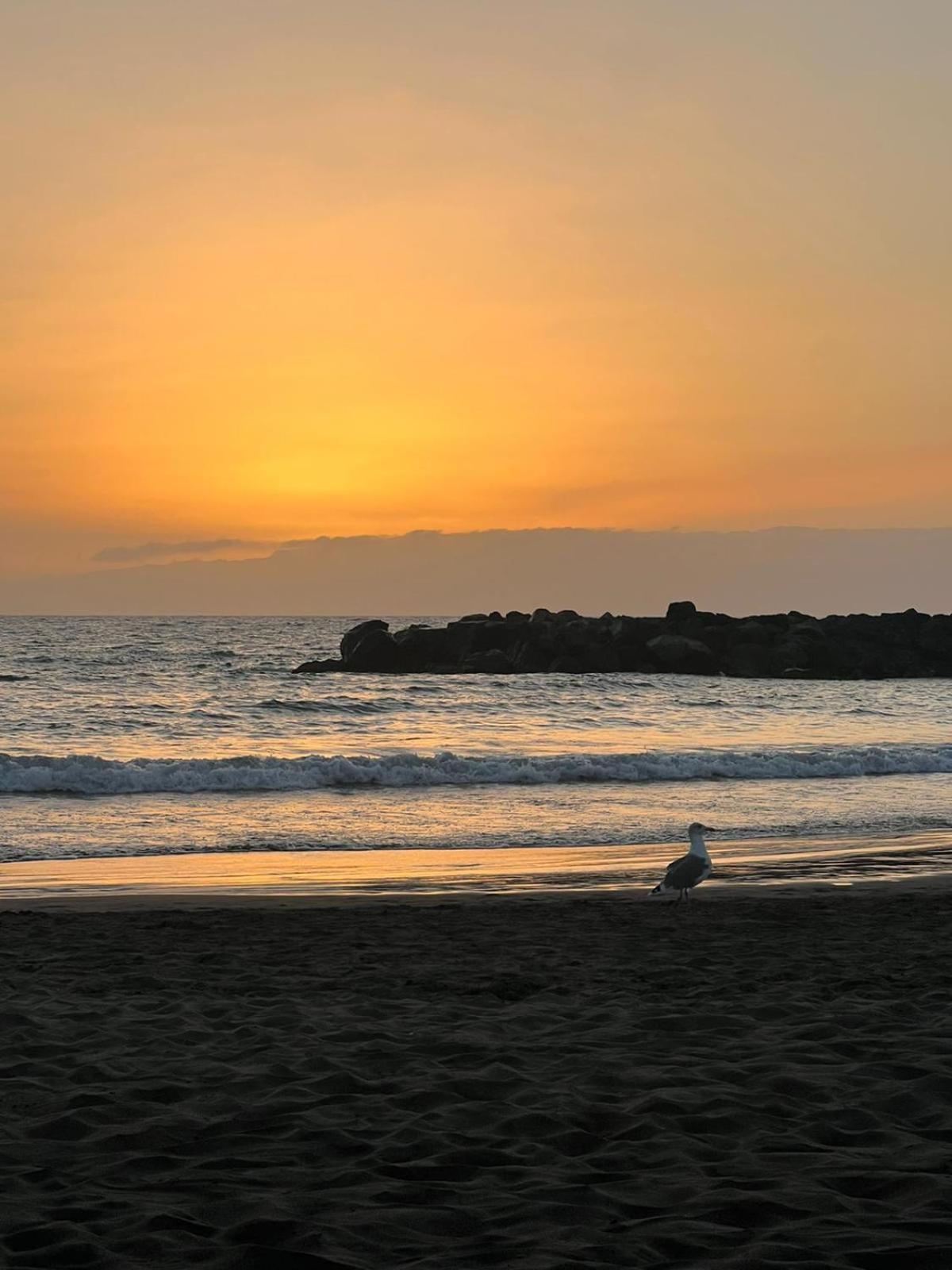 Apartamento En Primera Linea De Playa, Centrico, Tranquilo Πλάγια ντε λας Αμέρικας Εξωτερικό φωτογραφία